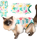 Cat Recovery Suit Surgical Onesie - Post Surgery - Soft Breathable Fabric - No-Cord Design - Protects Wounds and Skin After Spay or Neuter - Male and Female Cats | Large