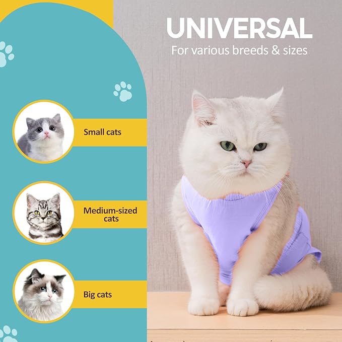 Avont Cat Recovery Suit - Kitten Onesie for Cats After Surgery, Cone of Shame Alternative Surgical Spay Suit for Female Cat, Post-Surgery or Skin Diseases Protection -Purple(M)
