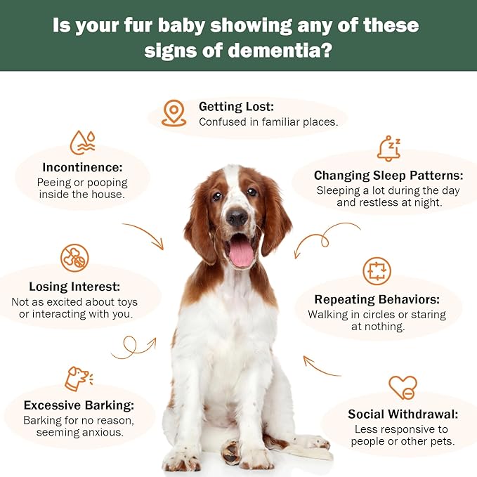 Senior Dog Supplements for Brain Health & Nervous System Support, Mushroom Supplement for Dogs, Dementia Supplement for Calming & Relaxation, Addresses Getting Lost, Social Withdrawal - 59 ML