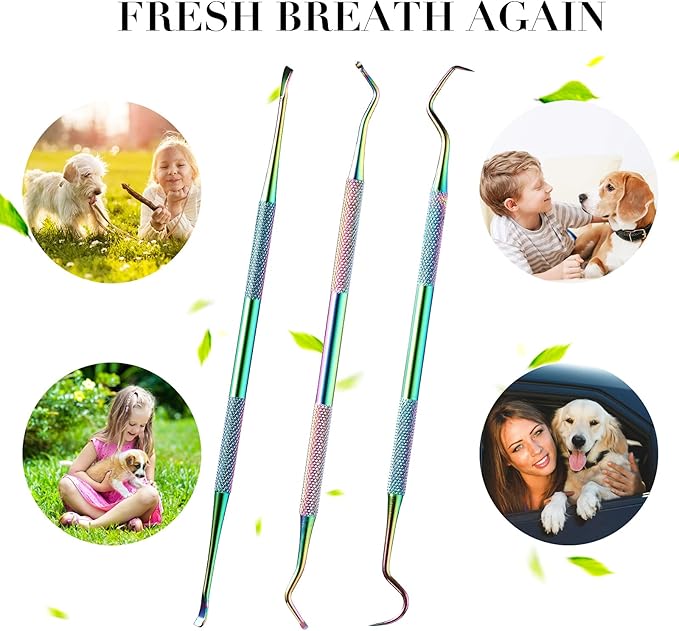 Hotop 3 Pieces Dog Dental Tooth Scaler and Scraper Stainless Double Headed Tarter Removing Tool Scraper Pet Teeth Cleaning Tools for Dog and Cat (Rainbow Color)