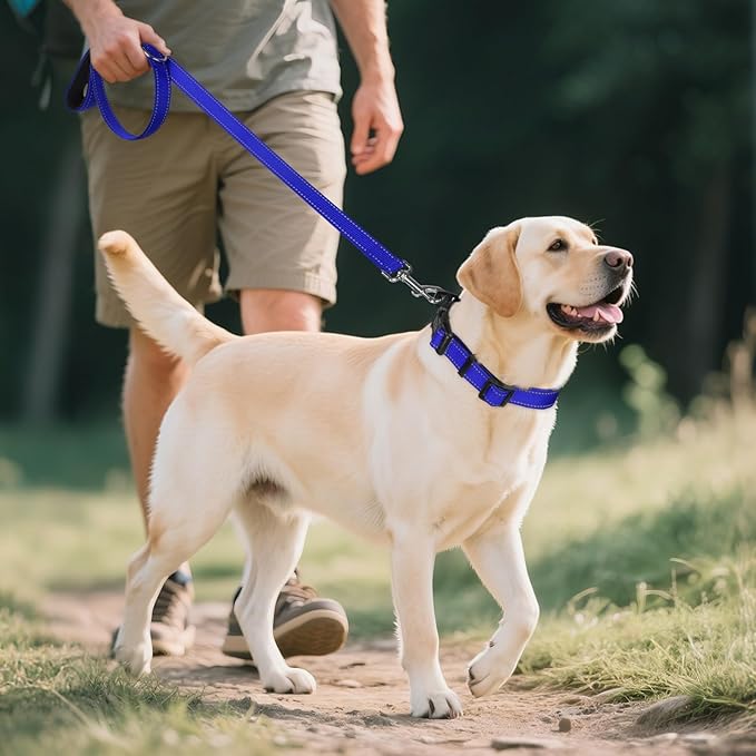 Joytale Reflective Dog Collar, Soft Neoprene Padded, Metal D-Ring, Nylon Pet Collar Adjustable for Large Dogs, Navy Blue, L