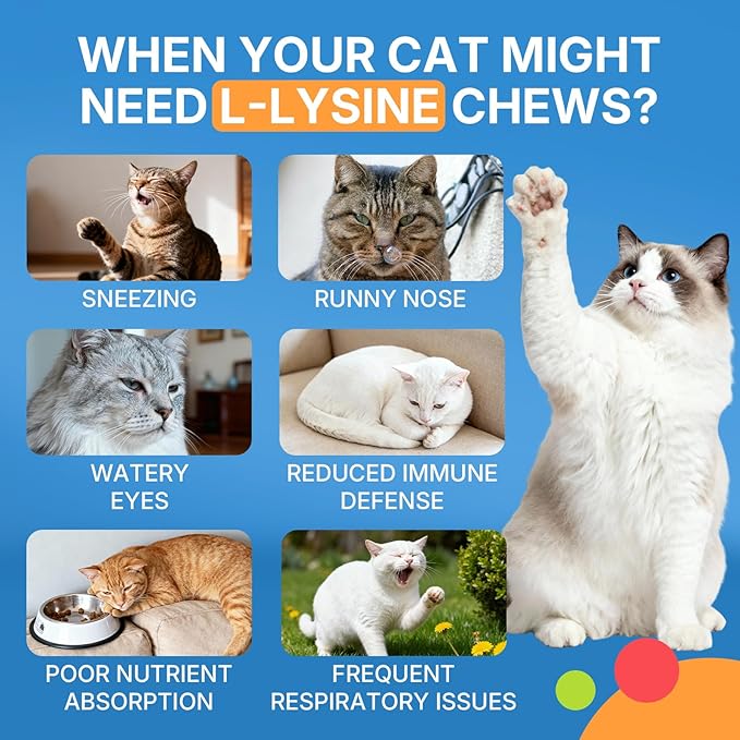 L-Lysine Chews for Cats 500 Chews, Immune & Respiratory Support Crunchy Shell with Krill Core, with Colostrum & Omega-3s for Sneezing and Runny Nose, Chicken Flavor, for All Ages & Breeds Cats