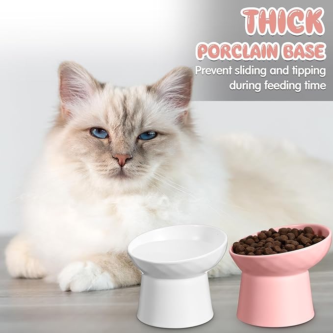 Tanlade 4 Pcs Ceramic Raised Cat Bowls, Elevated Tilted Cat Bowl for Food Water, Stress Free, Backflow Prevention, Dishwasher Microwave Safe, Feeder Dish for Indoor Kitten, Small Dogs(White and Pink)