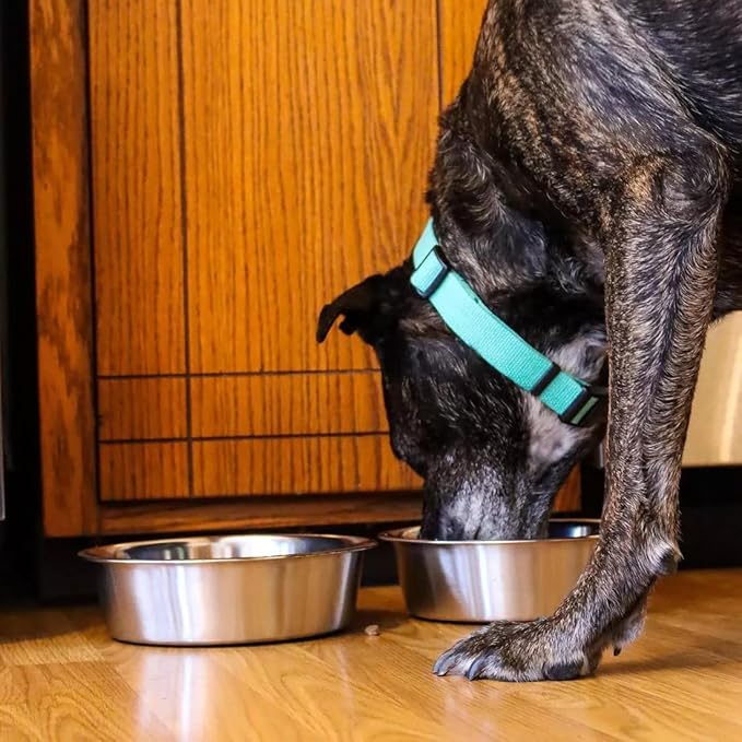 Stainless Steel Dog Bowl 2-Pack Metal Food and Water Dish (8.8" inch Outer Diameter) Pet Feeder Replacement Bowls Dishwasher Safe, Easy to Clean (7.8 Cups)