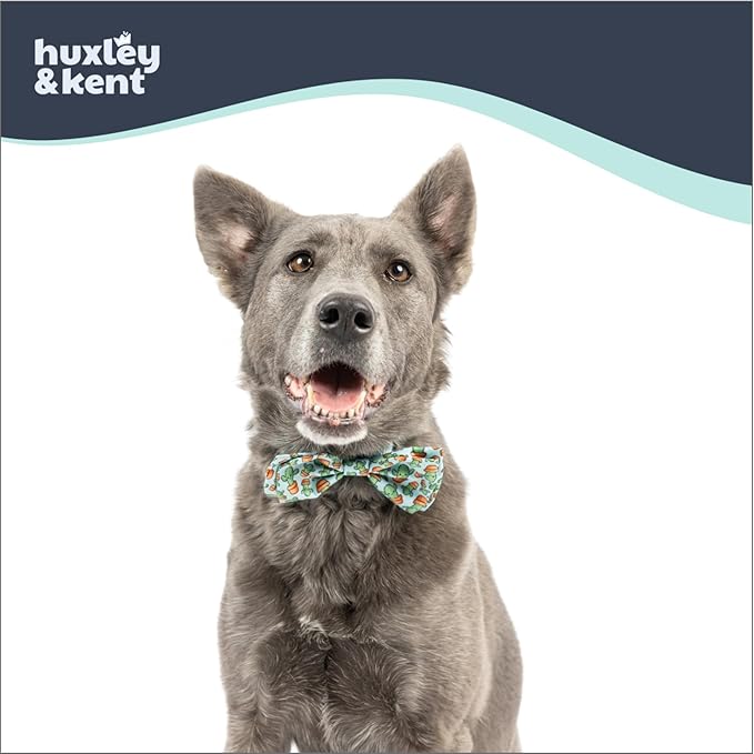 Huxley & Kent Pet Bow Tie for Dogs & Cats - Adjustable Hook & Loop Collar Accessory - Cute & Comfortable for Holidays & Celebrations - I'm Prickly Cactus, Large