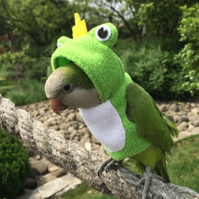 Bird Costume Diaper Flight Suit Frog Shape Hoodie Clothes Cosplay Photo Prop for Parrots Parakeet Cockatiel Sun Conure, Small Animals Apparel (Pink Without Diaper, Medium), Green