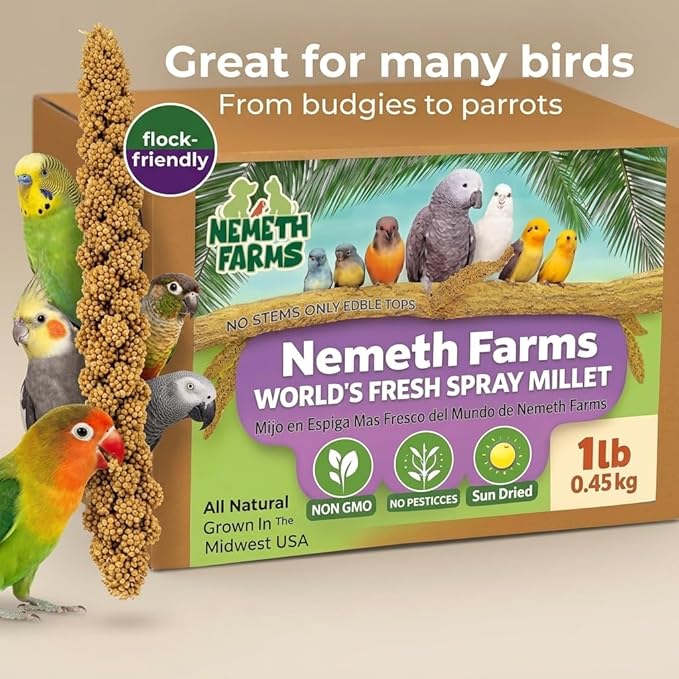 USA Grown Spray Millet for Birds – Midwest Harvest, 1 lb Premium 100% Natural, Sun-Dried Non-GMO Whole Millet Sprays, Bird Treat for Parakeets, Budgies, Cockatiels, Conures, Lovebirds & Finches