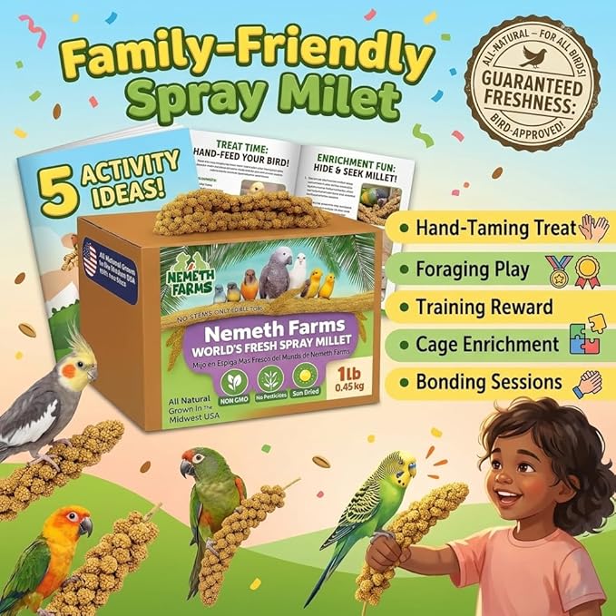 USA Grown Spray Millet for Birds – Midwest Harvest, 1 lb Premium 100% Natural, Sun-Dried Non-GMO Whole Millet Sprays, Bird Treat for Parakeets, Budgies, Cockatiels, Conures, Lovebirds & Finches