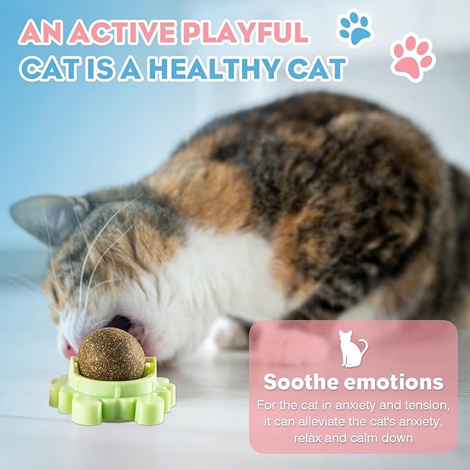 Catnip Ball - 4Packs - Catnip Balls for Cats Wall - Cat Nip Ball- Cat Nips Organic Balls - Magic Lickable for Cat Teeth Cleaning, Play