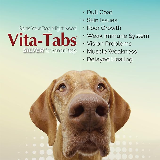 Silver - Vitamins, Minerals, Nutrients - Support for Senior Dog - Supplement for Healthy Bone, Joint, Energy, Immune System - 100 Chewable Tablets