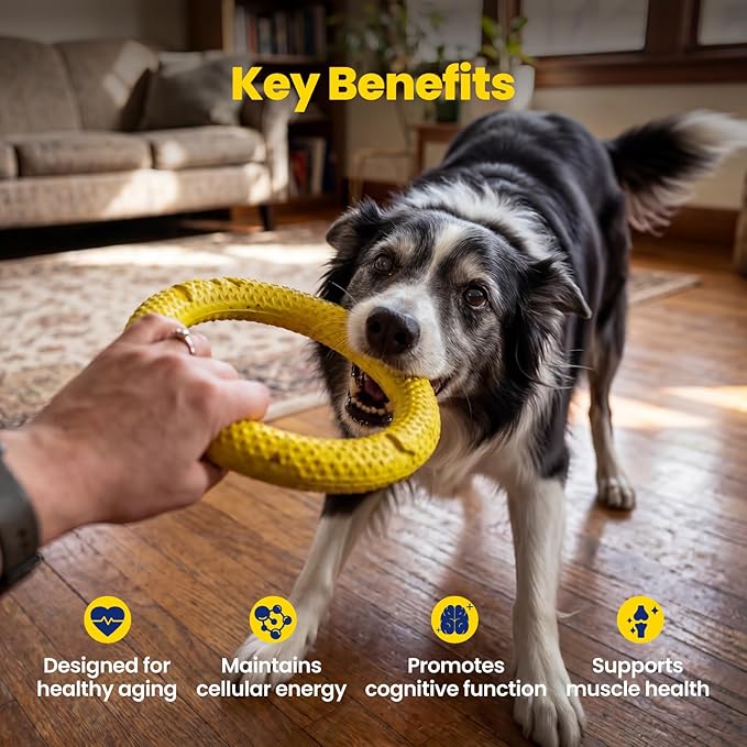 NAD+ Precursor & Senior Dog Supplement - 90 Soft Chews - NMN Alternative for Longevity & Healthy Aging - Nicotinamide Riboside, Resveratrol, Quercetin, Made with Pasture-Raised Chicken