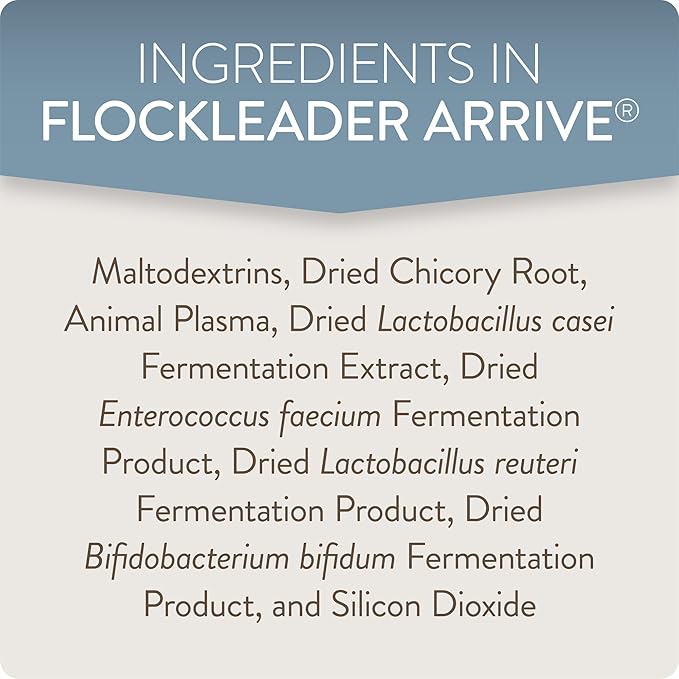FlockLeader Arrive, Daily Probiotic & Prebiotic Water Supplement for Young Chickens 0-8 Weeks Old, 8 oz (Pack of 2)