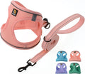 BELLA & PAL Dog Harness for Small Dogs, Medium, Coral Pink, Animal Harness with Leash Set, No Pull, Step in Design, Reflective Strip, Lightweight Mesh, Harness for Extra Small Dogs