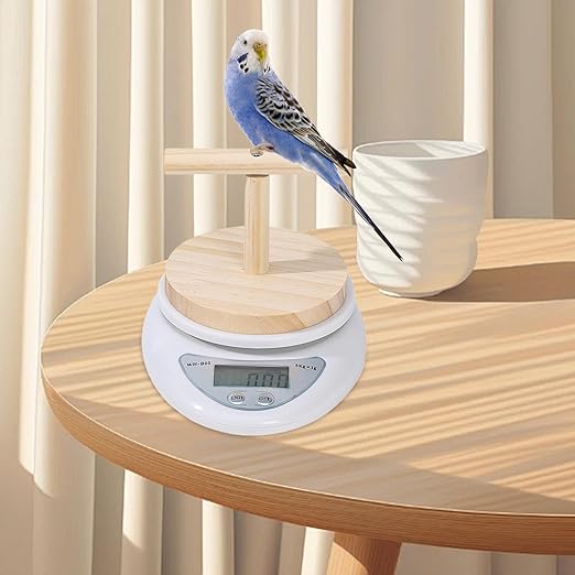 Parrot Scale - Small Pet Digital Scale | Bird Weight Balance Tool, Budgies Weighing Scale, Bird Weight Measuring Tool, Convenient Weight Changing Monitoring Tool for Medication Milk Powd