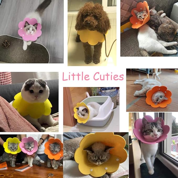 Cat Recovery Collar - Cute Flower Neck Cat Cones After Surgery, Adjustable E Cone Surgery Recovery Elizabethan Collars for Kitten Puppy Rabbits M Size (2pcs)