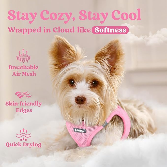 rabbitgoo Small Dog Harness, Step-in Soft Mesh Puppy Vest with Safety Buckle, Breathable Reflective Pet Harness for Extra Small Dogs, Light Pink XXXS