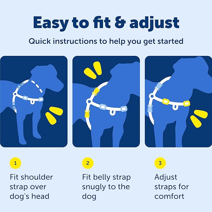PetSafe Easy Walk No-Pull Dog Harness - The Ultimate Harness to Help Stop Pulling - Take Control & Teach Better Leash Manners - Helps Prevent Pets Pulling on Walks, Medium, Apple Green/Gray