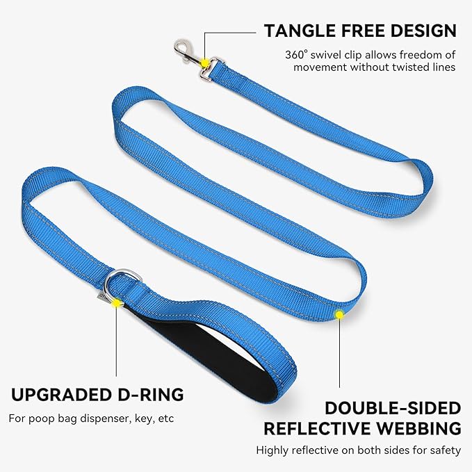 Joytale Dog Leash, 6 FT Double-Sided Reflective, Padded Handle Nylon Heavy Duty Leashes for Small Dogs Walking, Teal