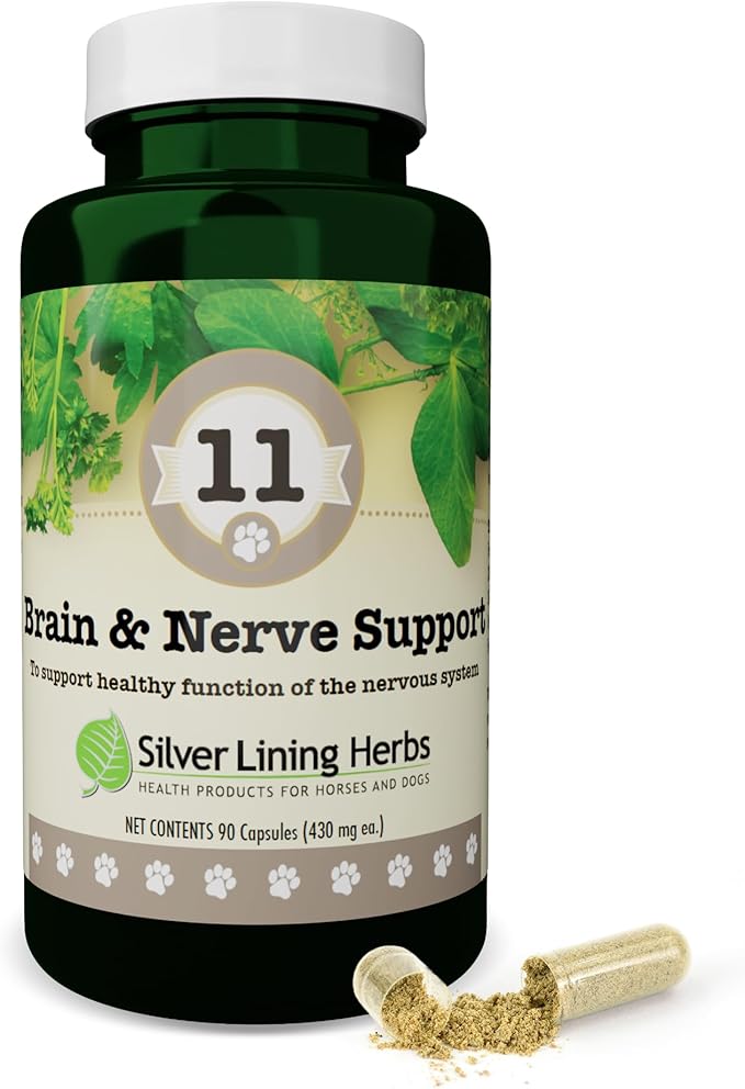 Silver Lining Herbs Brain Health & Dog Nerve Supplements - 11 Canine Herbal Supplement Helps Maintain Central Nervous System, Spinal Cord & Balanced Behavior - 90 Capsules
