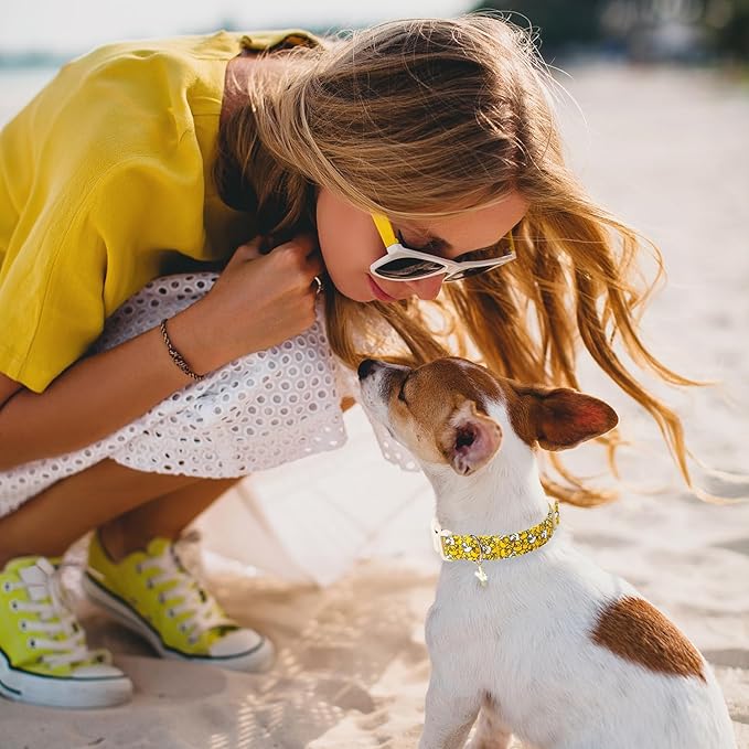Maca Bates Summer Cute Dog Collar with Yellow Duck Print for Extra Large Boy Gril Dogs,Spring and Summer Styles Durable,Soft,Thick,Adjustable Puppy Basic Collars for Male Female Pet with Safety Buckle