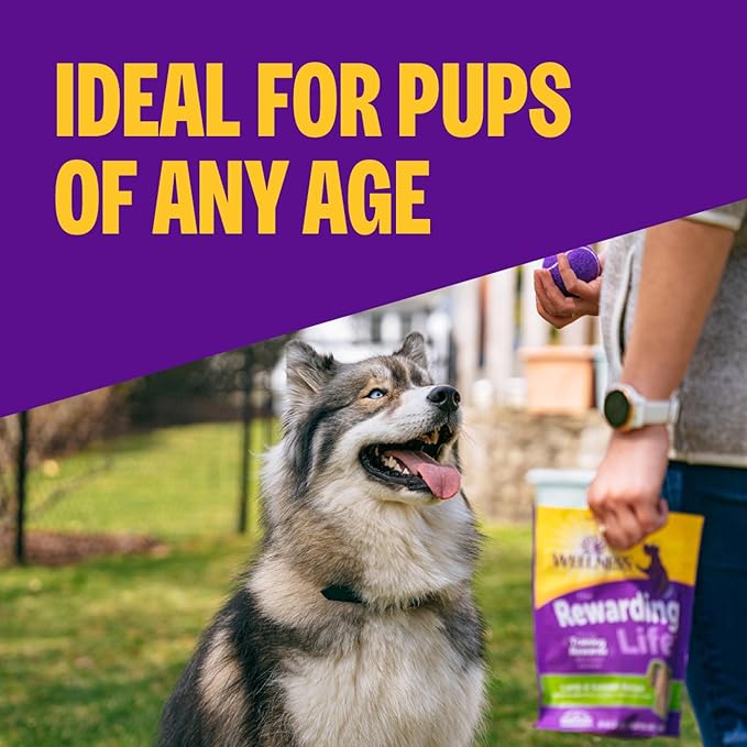 Wellness Rewarding Life Soft Dog Training Treats, Natural, Grain Free, Beef and Turkey Recipe, 6 oz Bag
