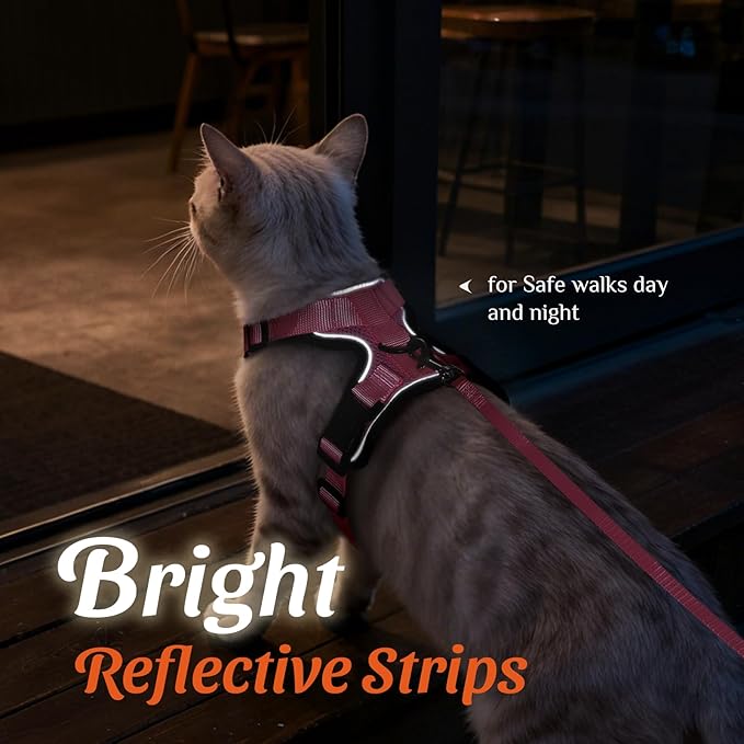 Dooradar Cat Harness and Leash Set, Escape Proof Safe Adjustable Kitten Vest Harnesses for Walking, Easy Control Soft Breathable Mesh Jacket with Reflective Strips for Cats, Pink, XXS