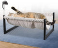 Elevated Cat Bed for Indoor Cats - Machine Washable, 360° Surround Sight, Rust-Resistant Frame with Toy - Effortless Setup, Comfort Mattresses (Thick)