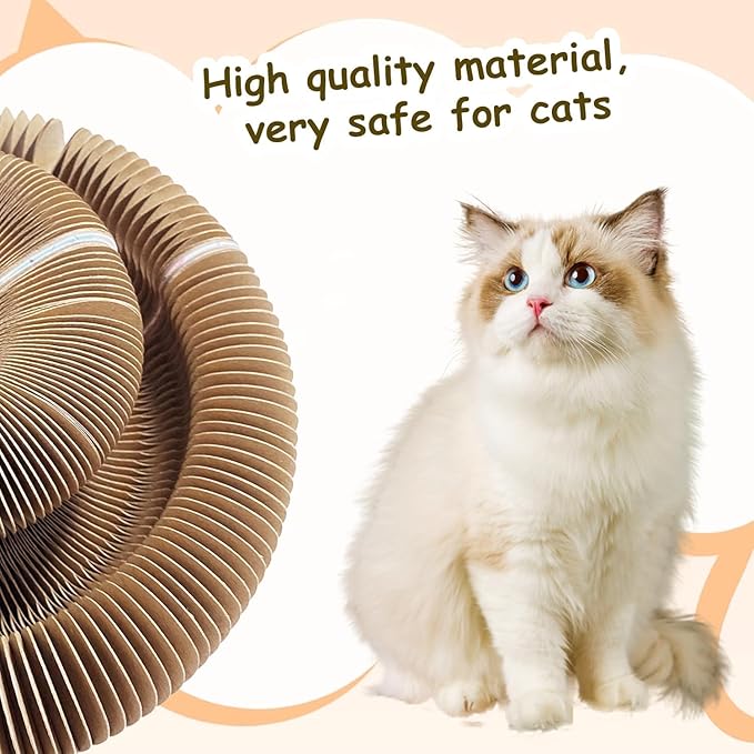 Kitty Kurlz Cat Toy, Reversible Infinity Style Magic Organ Cat Toy Made from Recycled Corrugated Cardboard Long Lasting (C-Shaped).
