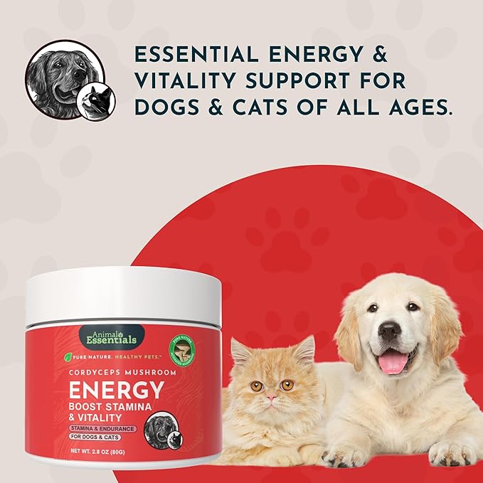 Animal Essentials ENERGY Cordyceps Mushroom Supplement for Dogs & Cats - Support Stamina & Endurance, Healthy Respiratory & Kidney Functions, Antioxidant, Mushroom Powder Extract - 2.8 Oz (Pack of 1)