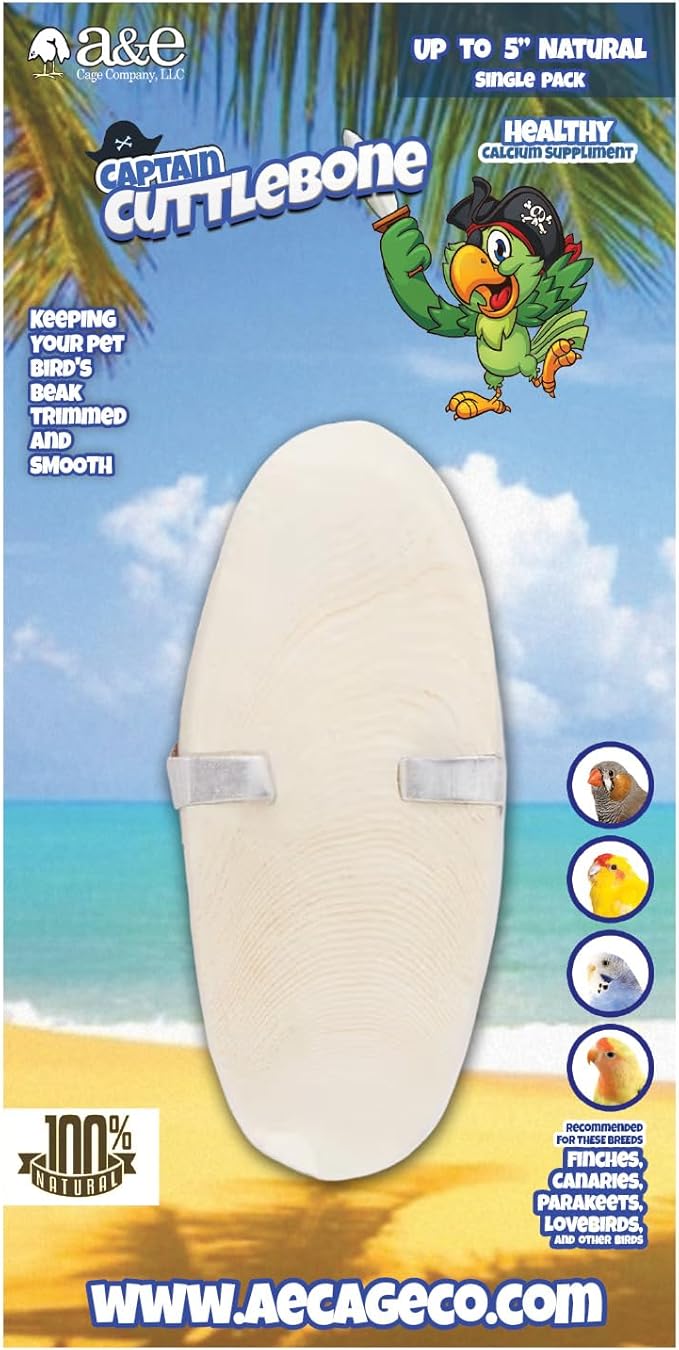 A&E Cage Company Captain Cuttlebone 5" Natural Cuttlebone for Birds – Single Blister Pack Calcium Supplement – Beak Conditioning Mineral for Parakeets, Budgies, Finches, Canaries & Lovebirds