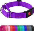 Joytale Martingale Collar for Dogs, Reflective Heavy Duty for Safety, Quick Release Buckle, Adjustable Nylon Collars for Large Dogs Walking Training, Purple,L