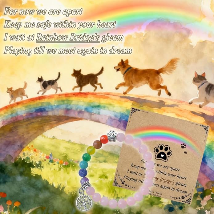 Pet Memorial Gifts, Sympathy Gift for Loss of Dogs and Cats, Chakra Rainbow Bridge Bracelet for Women Men Who Lost Pets