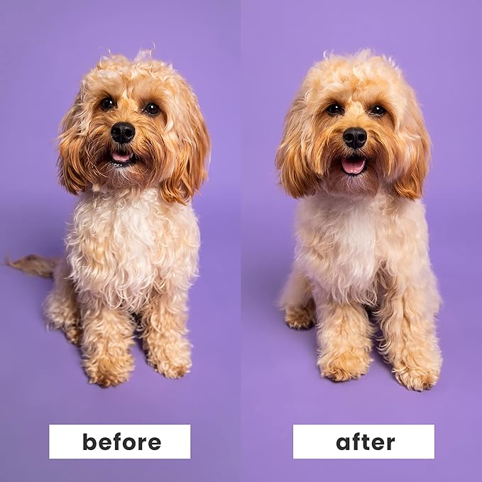 Pet Teezer by Tangle Teezer Small De-Shedding and Small Detangling Dog Brush Duo