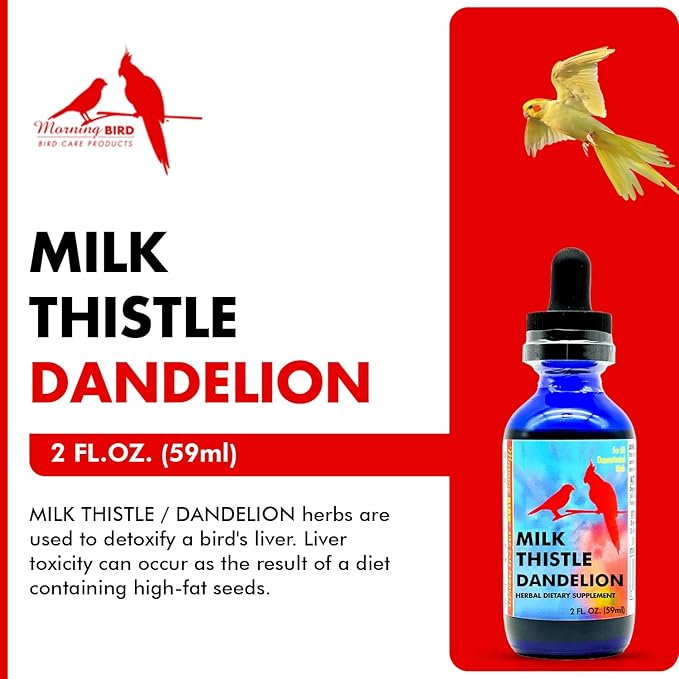 Morning Bird Milk Thistle & Dandelion Extract 2 fl oz – Organic Herbal Supplement for Birds – Supports Liver Health & Natural Detox – Suitable for All Bird Species