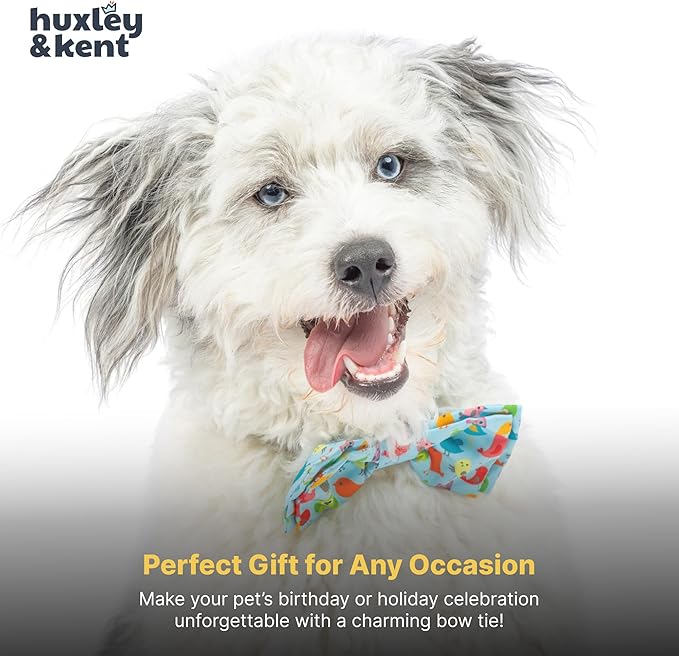 Huxley & Kent Pet Bow Tie for Dogs & Cats - Summer Theme Adjustable Hook & Loop Collar Accessory - Cute & Comfortable for Holidays & Celebrations - Yard Birds, Small