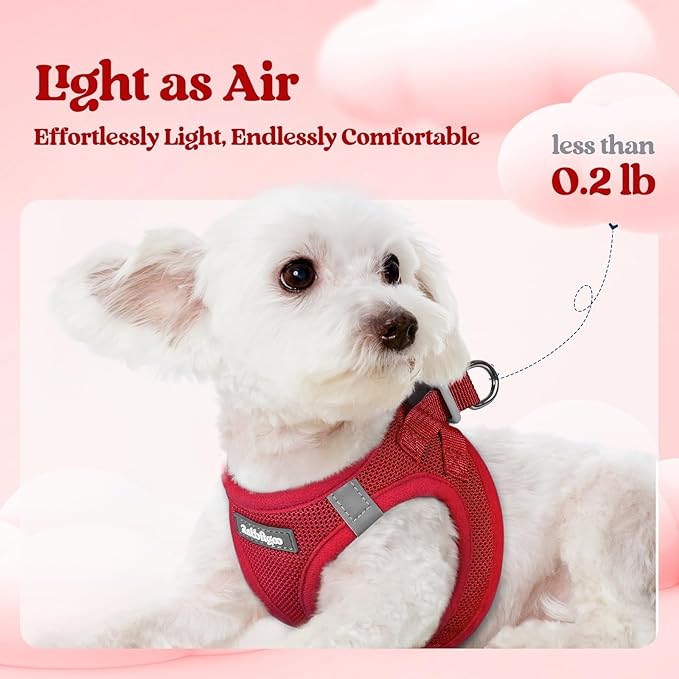 rabbitgoo Dog Harness Small Sized and Leash Set, Step in Soft Light Puppy Vest, Breathable Mesh Pet Harness, Reflective for Safe Easy Walking, Red S