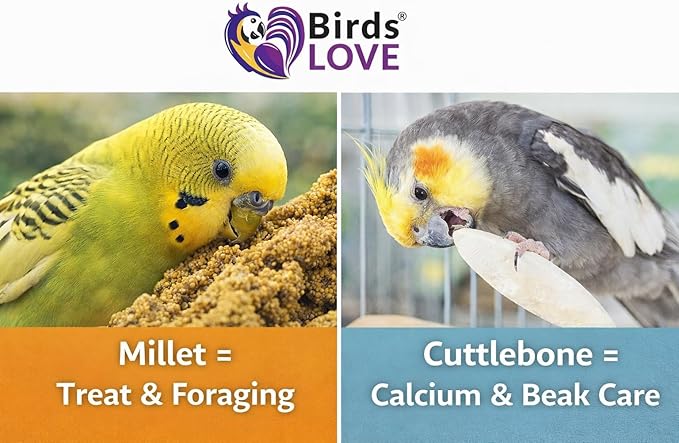Farm to Feathers™ Wholesome Spray Bird Millet & Cuttlebone Bundle – USA Grown Millet Sprays for Parakeets, Budgies, Cockatiels, Finches & Canaries – 2 lb Wholesome Millet + 4” Cuttlebone (4 Pack)