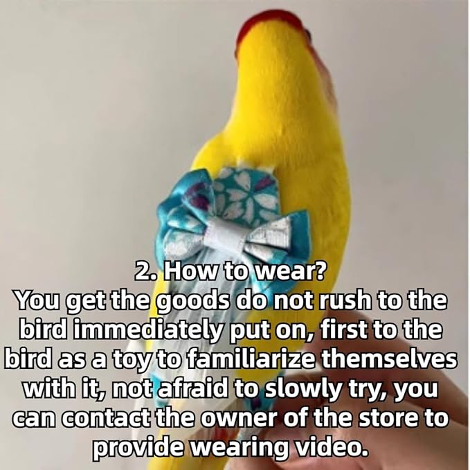 Bird Diaper Cockatiel Clothes Flight Suite, Reusable Parrot Nappy with Waterproof Inner Layer, Cute Pigeon Pants Urine Wet Suit Costume for Conure Macaw (Blue A,2M)