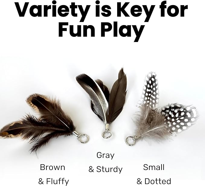 Feather Toys Replacements (9 Pc) - Cat Toys & Kitten Toys for Indoor Kittens, Set of Replacement Feather Attachments Extra Small and Durable, for Cat Wands, Natural and Safe