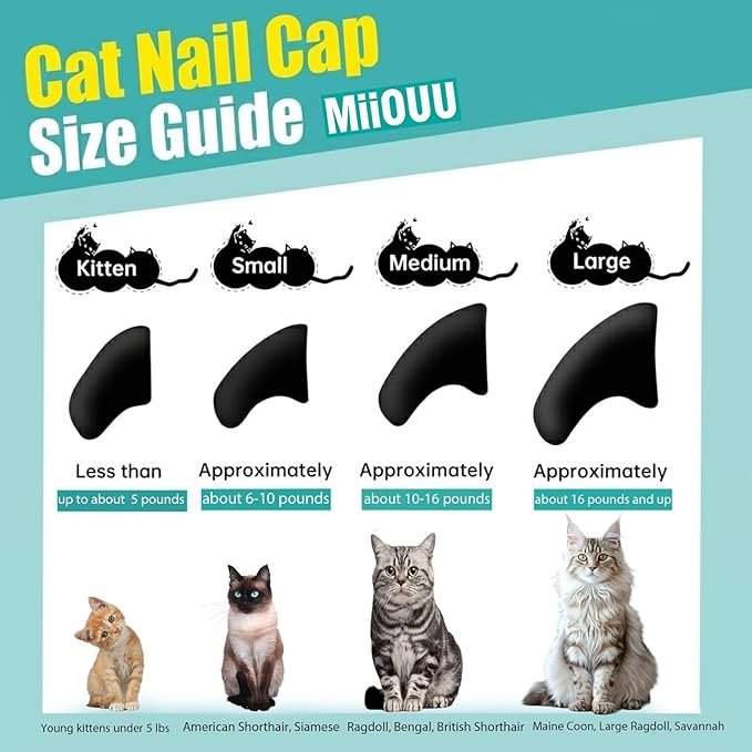 100 pcs Cat Nail Caps | Cat Claw Covers with Adhesives and Applicators | Black (XS)