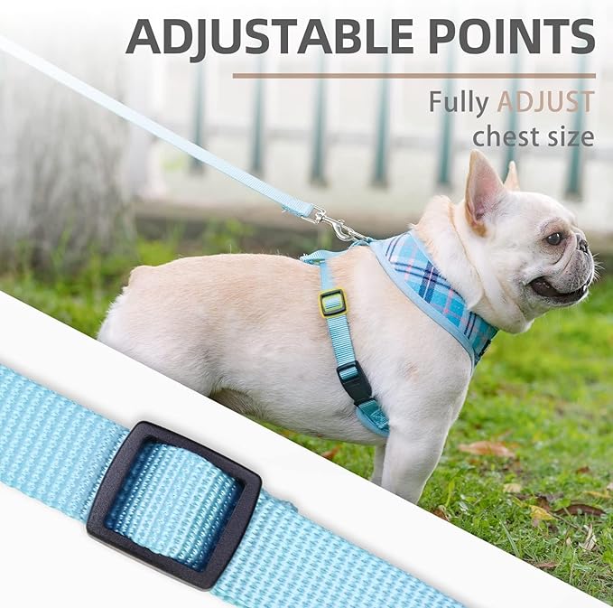 PUPTECK Soft Mesh Dog Harness and Leash Set Pet Puppy Cat Comfort Padded Vest No Pull Harnesses, Light Blue, L