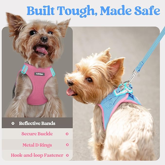 rabbitgoo Dog Harness Small Sized and Leash Set, Step in Soft Light Puppy Vest, Breathable Mesh Pet Harness, Reflective for Safe Easy Walking, Blue & Light Pink XS