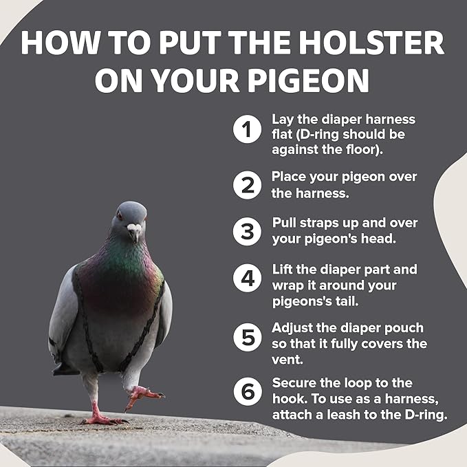 Hen Holster Starter Kit - Wrap-Around Duck Diaper w/Removable Liner & Fixed Tab - Durable, Secure Fit, Easy-to-Wear - Essential Duck Supplies for Real Ducks, Made in USA - Gray, XS