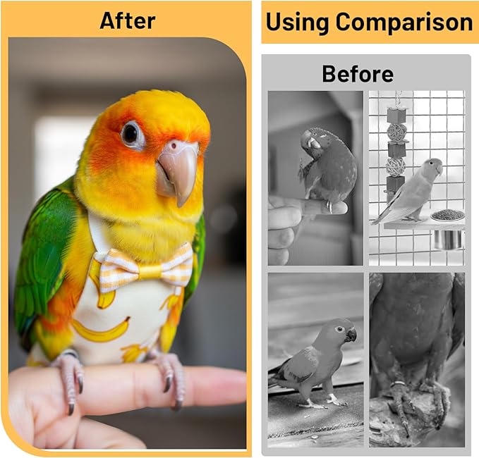 Bird Diaper, 6Pcs Reusable Parrot Diapers with Waterproof Inner - Washable Parrot Diapers for Indoor Parakeet Lovebird Canary (Medium)