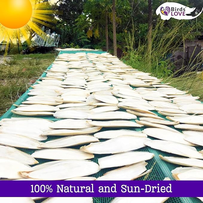Birds LOVE 5.5-6″ Cuttlebones for Birds – 100% Natural Sun-Dried Calcium & Beak Conditioning Supplement for Parakeets, Budgies, Cockatiels, Finches & Canaries – 6 Pack with Holder – Made in Vietnam