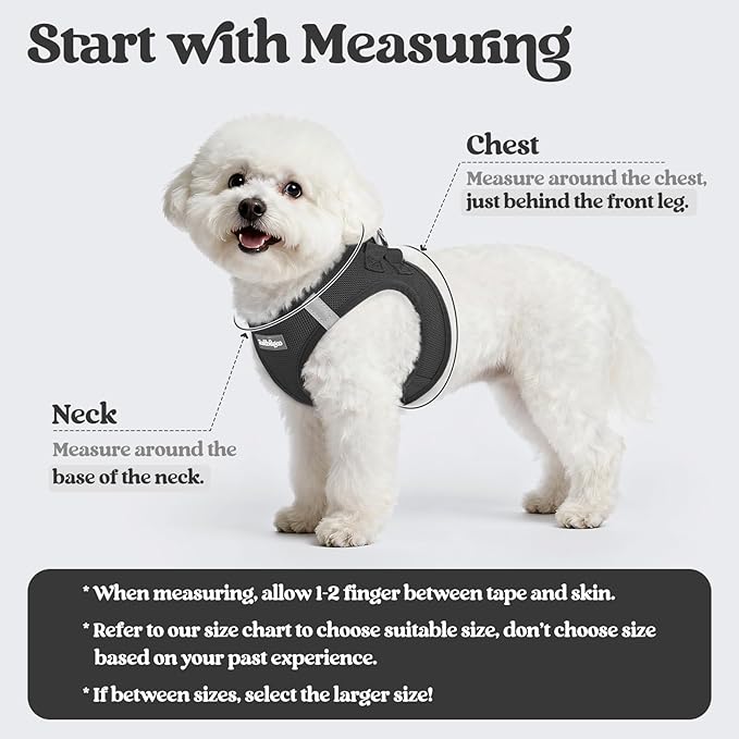 rabbitgoo Dog Harness Small Sized and Leash Set, Step in Soft Light Puppy Vest, Breathable Mesh Pet Harness, Reflective for Outdoor Safe Walking, Black XXXS