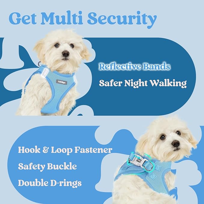 rabbitgoo Small Dog Harness, Step-in Soft Mesh Puppy Vest with Safety Buckle, Breathable Reflective Pet Harness for Large Dogs, Blue XXL