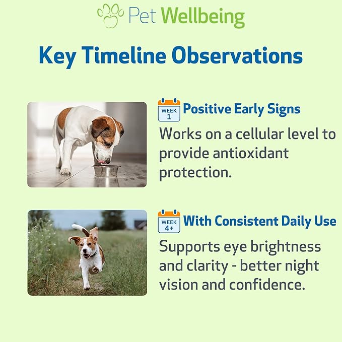 Pet Wellbeing Bilberry for Dogs - Eye & Vision Support with Antioxidants, Capillary Health, Retinal Support - NASC Certified & Vet-Formulated - 2 oz Liquid