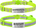 TagME 2 Pack Cat Collar with Name Tag, Personalized Reflective Cat Collar Breakaway with Bell for Boy & Girl Kitten, Green