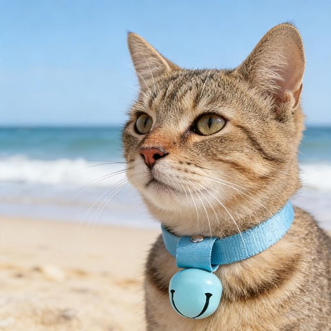 EXPAWLORER Pet Bells for Dog Cat Collar Charm - 2 Pack Cat Collar Accessories Bells Loud, Pet Jingle Ornament Training Pendant Neck Decoration, Tracker for Saving Birds, Yellow & Blue